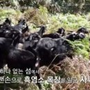 울릉도식품