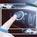 코끼리 카서비스 이미지