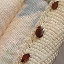 대상베드 이미지