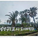 서귀포내과의원 이미지