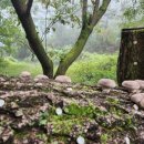 미래농장2 이미지