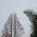 끄티공원 이미지