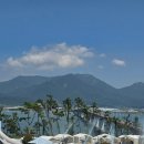 에이디디 관광농원 이미지