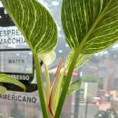 허준마을작은도서관 이미지