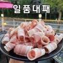 120 | 춘천 일품대패 재방문 | 후평동술집 • 후평동고기집 강대병원맛집