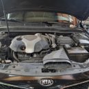 고아카센타 이미지