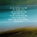 임마누엘 이미지