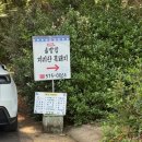 솔밭집 - 서구 암남공원로 252 | [부산] 부산대 숲속 노포 감성 - 솔밭집