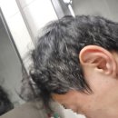 보룡농장 이미지