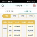 아이비영어