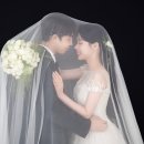 씨앤엘팜 네이버블로그
