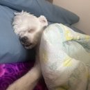 사랑나눔경로식당 | 떠나보내는 시월