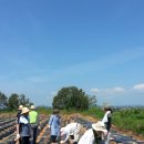 성모농장 이미지