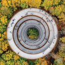 생명과 공존의 숲( 이미지