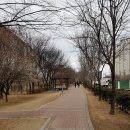 대구선반야월공원(괴전동) | [대구선 폐선부지 답사3] 반야월역사 작은도서관에서 안심역 경부고속도로 하부까지