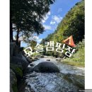 묘솔