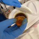 보누므 | 강릉 왁싱 보누므 슈가링왁싱 다리 하프 받은 후기