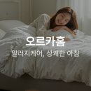오르카 몰