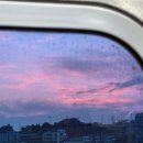 3월 첫번째 일상 (남원골 추어탕/마마리다이닝/런던베이글뮤지엄/애플 교육할인/나폴레옹제과점/백소정)