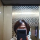머리할때됐다 이미지
