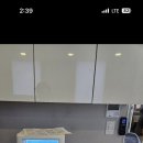 지바이오 이미지