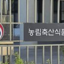 옹심푸드 브런치