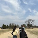 스테이소소리