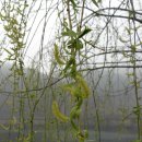 로하스 해피로드 이미지