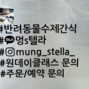 멍's텔라 네이버블로그