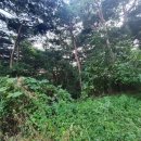 광천읍 상정마을회관 이미지