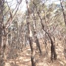 토지주유소 이미지