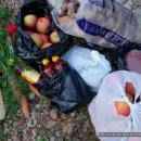 까망봉다리 이미지