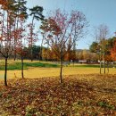 은여울공원 이미지