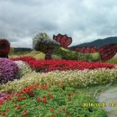 주암민박 이미지