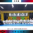 용인대 합기도 주짓수 이미지