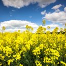 (주)교보문고