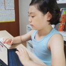 준 pet 이미지