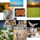 생연1동 할머니  경로당 이미지