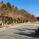 뜨락 | 전라도 감성숙소 보성 독채 펜션 뜨락 아뜰리에 아이동반 후기