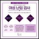 이룸내과의원 | [임신 준비 기록] 난임 검사 결과 AMH 1.11 난소 기능 저하 난저 비용 부산 하단 이룸 여성 의원