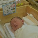 진우수지 이미지