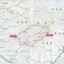 6월6일첫째주 토요산행(의성.금성산.비봉산) 이미지