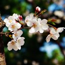 행복한 사람들 이미지