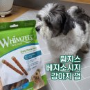 제니스덴탈 네이버블로그