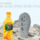가조로타리 | 2023-07-08 지리산천왕봉 산행(거림-중산리코스:거중 코스)-거림탐방로는 최애탐방로