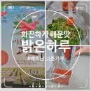 화끈한 매운맛 베트남 땡초 100% 밝온하루 고춧가루 솔직 후기