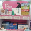 옵티마연합약국 이미지