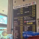 모자가리비 이미지