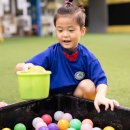 Re: TIS SEG-Safeguarding team-Safeguarding policy 이미지