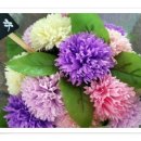 협동조합다락 이미지